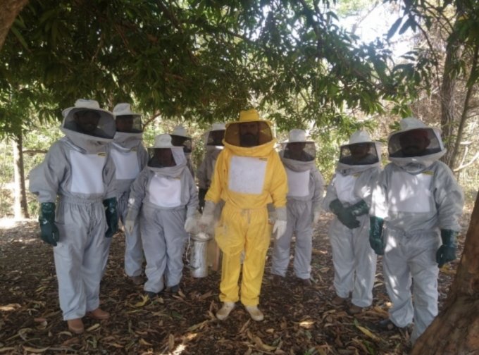 Prefeitura de Campos Verdes investe em apicultura para aumentar renda no campo