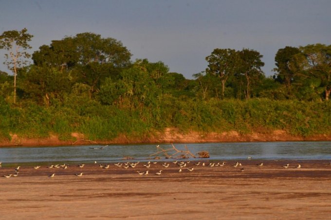 Governo cancela temporada do Rio Araguaia