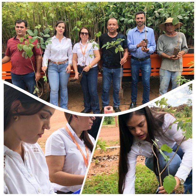 FICO contribui com 5 mil mudas de Arvores para a preservação ambiental em Santa Terezinha de Goiás