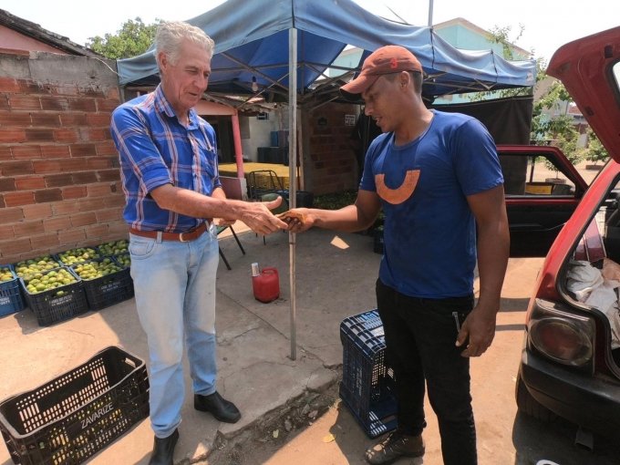 Pequi Ã© fruto de renda na RegiÃ£o Norte