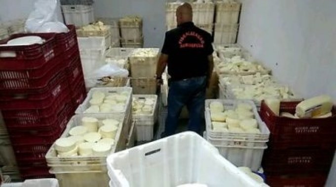 Agrodefesa inutiliza 18 toneladas de produtos lÃ¡cteos em CampinaÃ§u